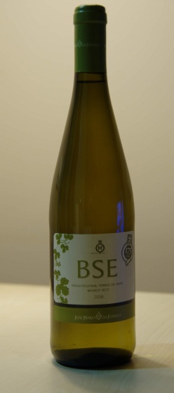 Bethe-Salpeter wine